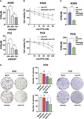 FGFR inhibitors combined with nab-paclitaxel - A promising strategy to treat non-small cell lung cancer and overcome resistance